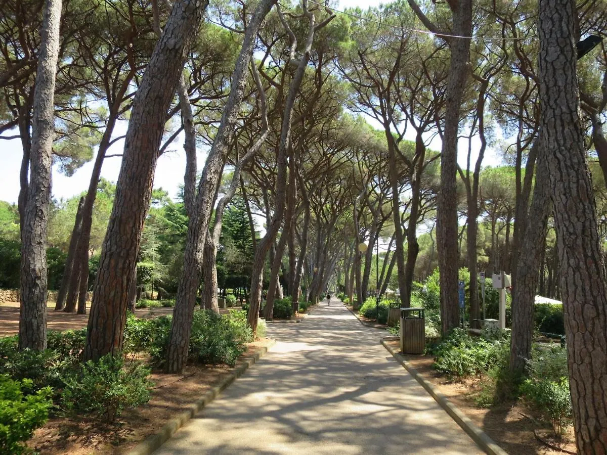 Villa Locazione Turistica I Lecci Castiglioncello