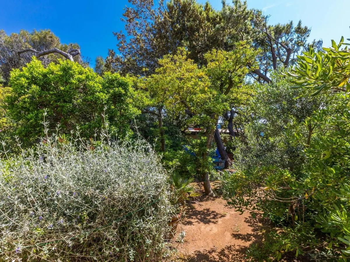 Villa Locazione Turistica I Lecci Castiglioncello Italia